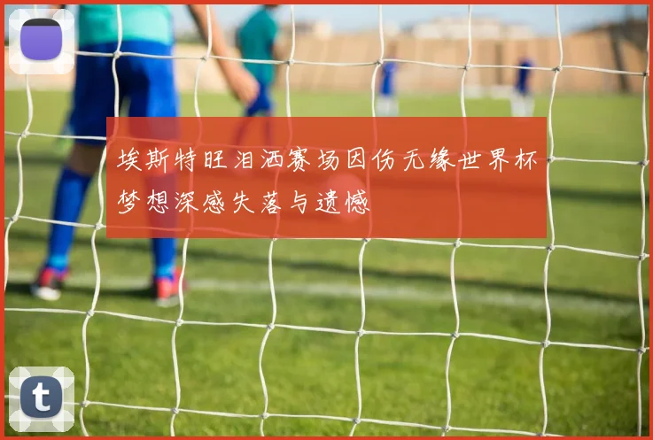 埃斯特旺泪洒赛场因伤无缘世界杯梦想深感失落与遗憾