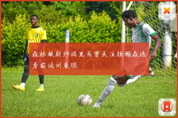 森林狼新帅诺里或曾关注杨瀚森选秀前试训表现